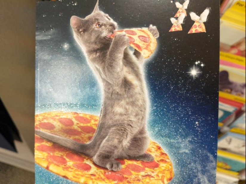 22 photos with cats and pizza. What could be more beautiful?