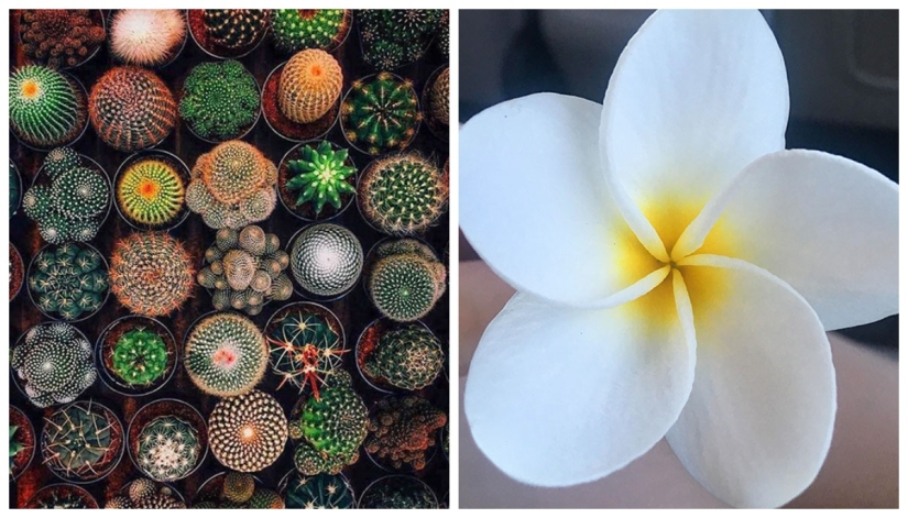 22 proofs that nature is the most talented artist