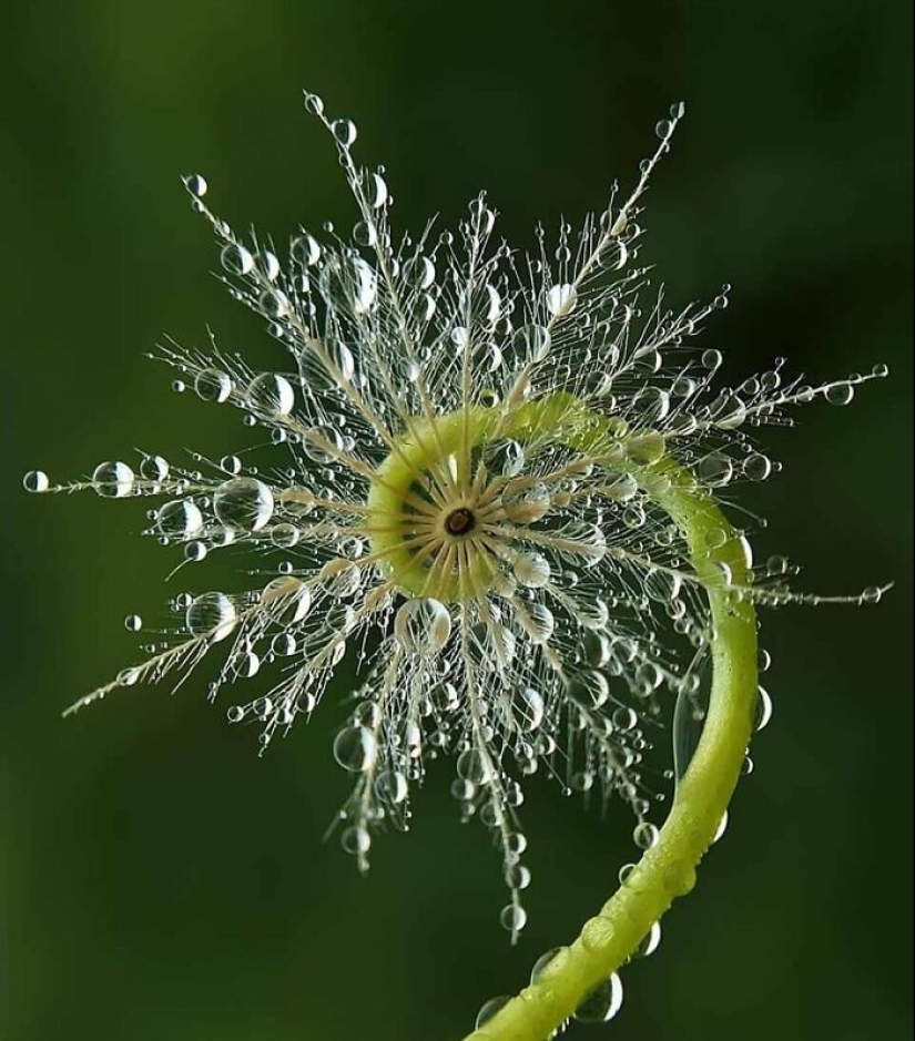 22 proofs that nature is the most talented artist