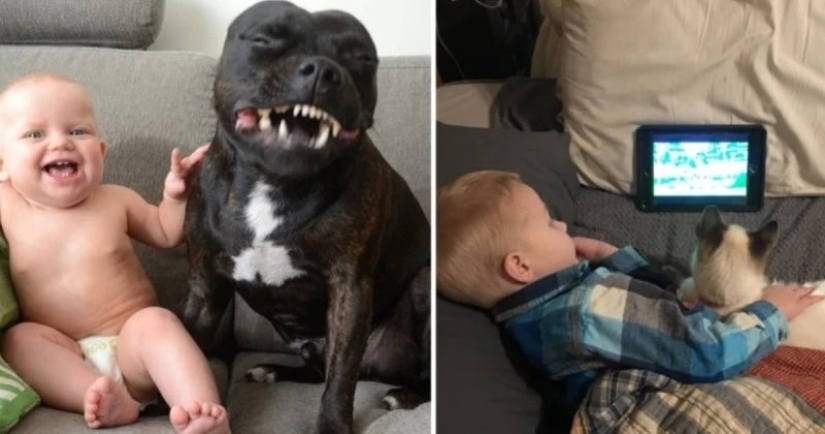 22 proofs that no child should grow up without a pet