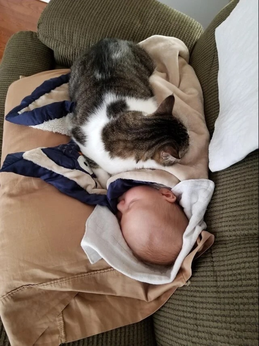 22 proofs that no child should grow up without a pet