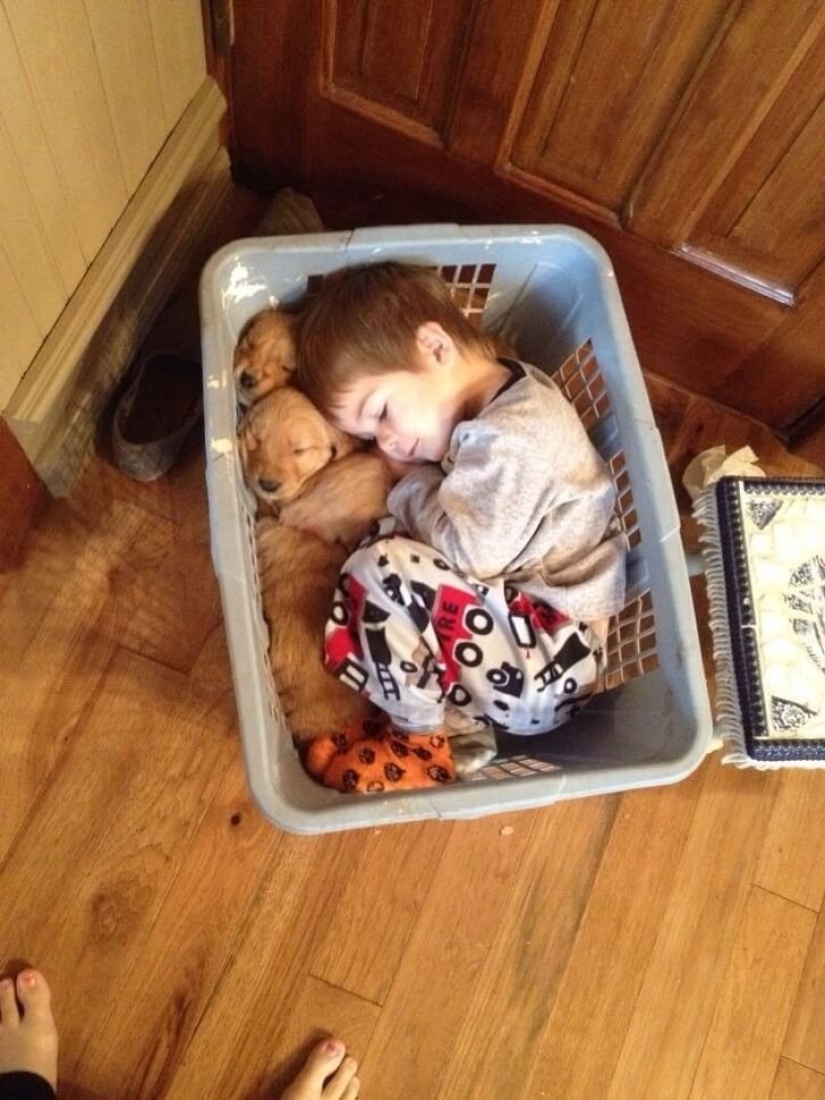 22 proofs that no child should grow up without a pet