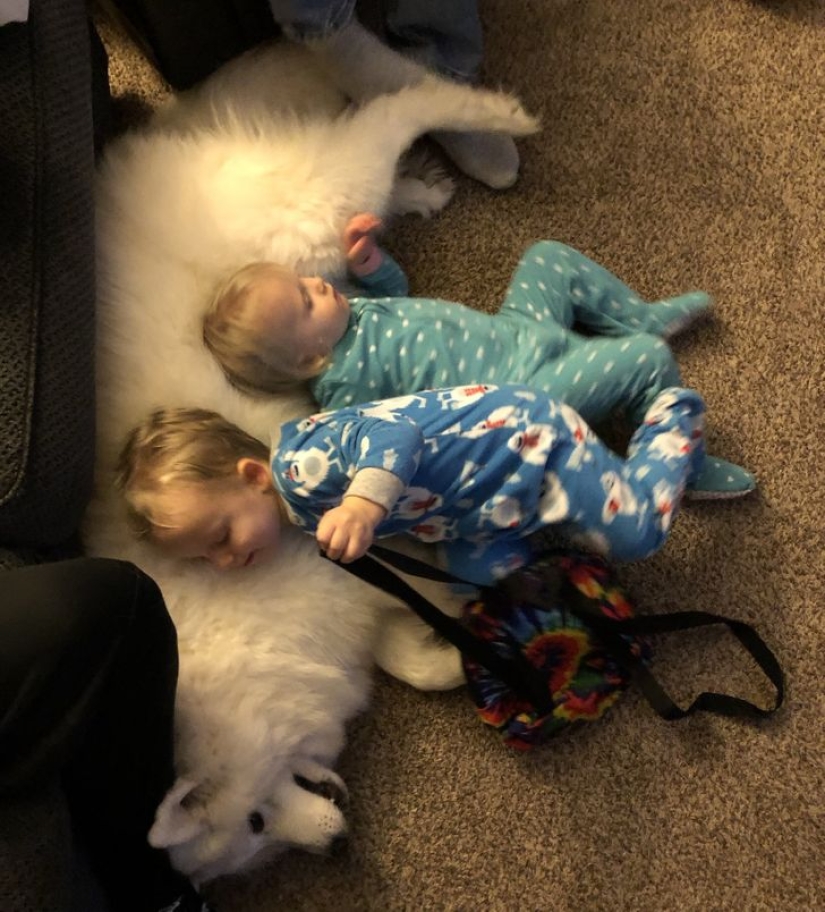 22 proofs that no child should grow up without a pet