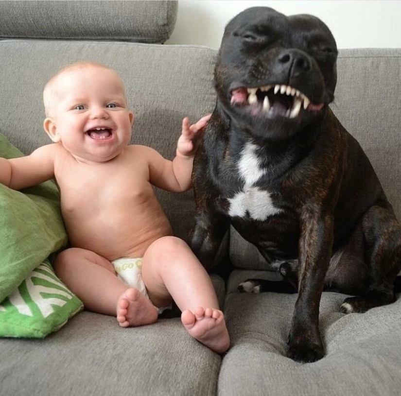 22 proofs that no child should grow up without a pet