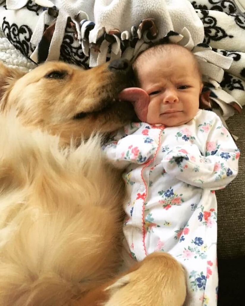 22 proofs that no child should grow up without a pet