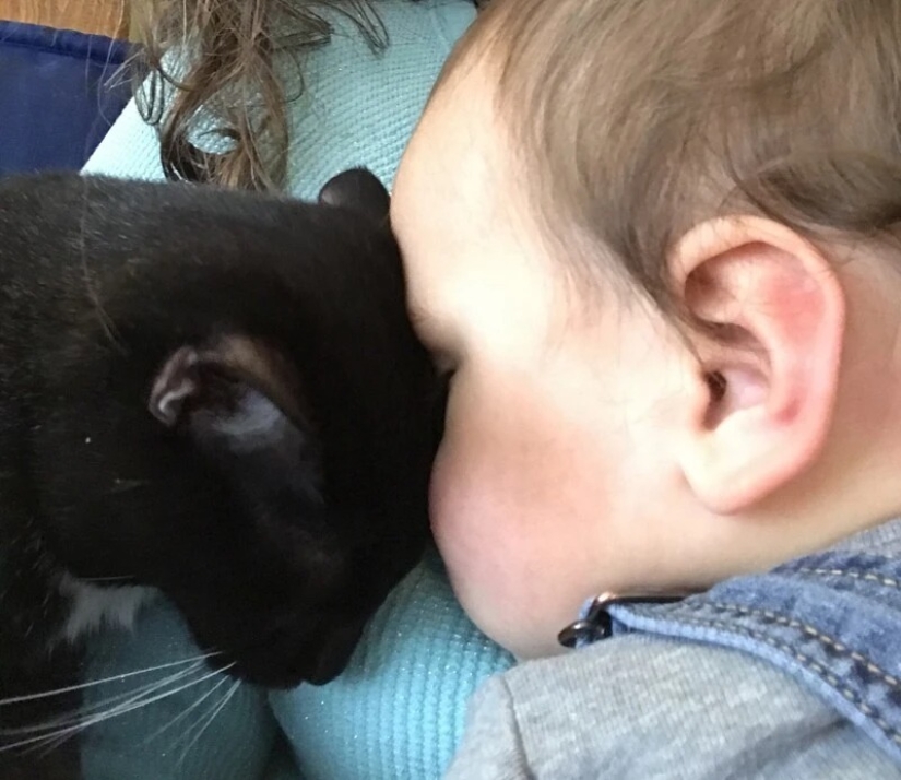 22 proofs that no child should grow up without a pet