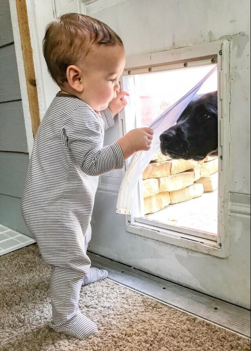 22 pruebas de que ningún niño debería crecer sin una mascota