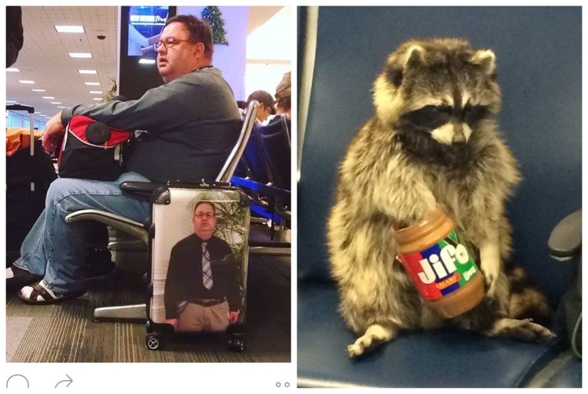 22 strange moments that you don't expect to see at the airport