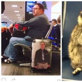 22 strange moments that you don't expect to see at the airport