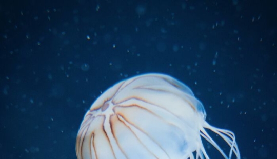 22 Times People Tasted Something Unusual Whether On Purpose Or By Accident