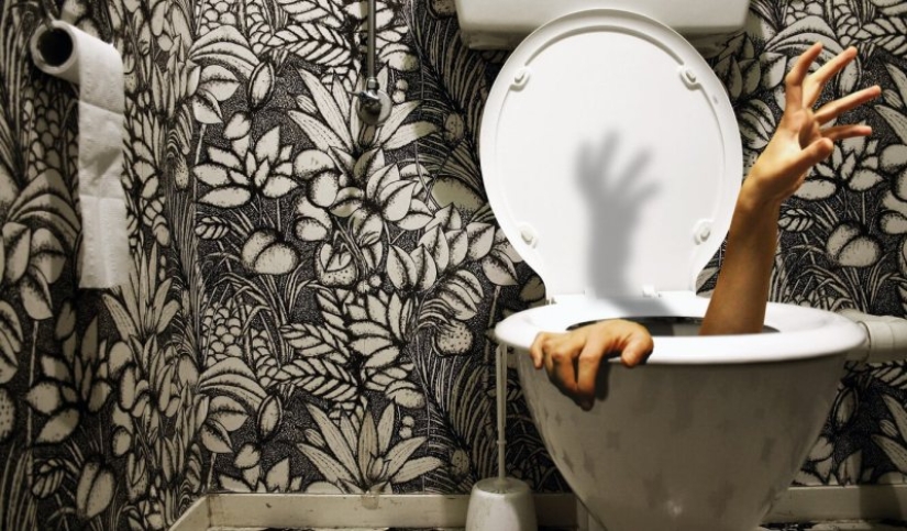 22 toilets where something strange happens