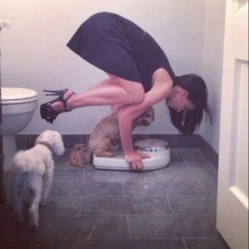 22 toilets where something strange happens