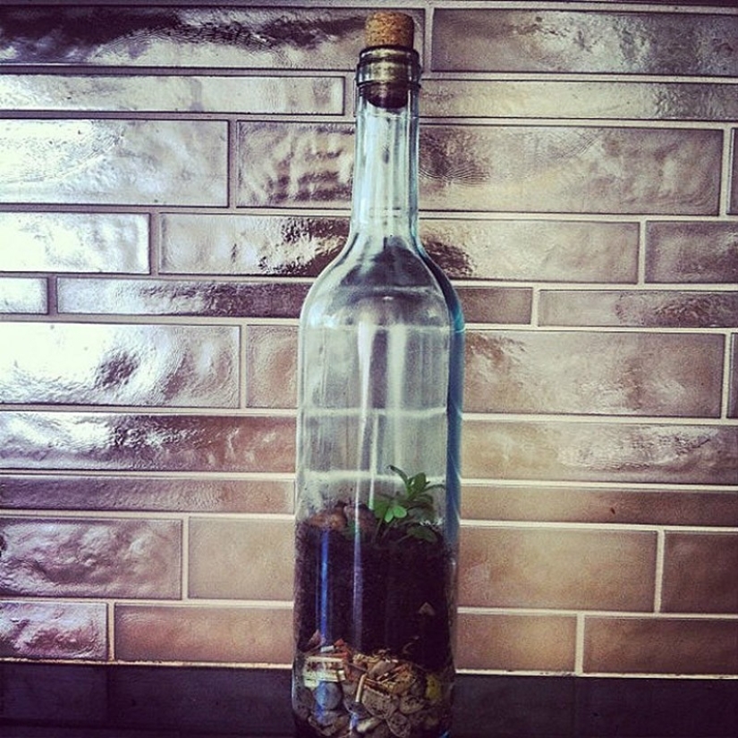 22 ways to turn an empty bottle into a practical work of art