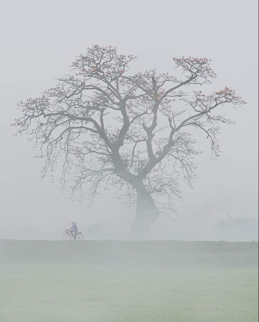 22 wonderful pictures from Vietnam from the talented Chan Tuan Viet