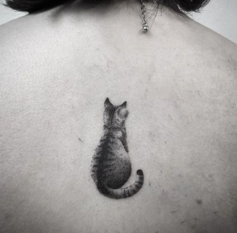 23 best tattoo ideas for dedicated seal lovers