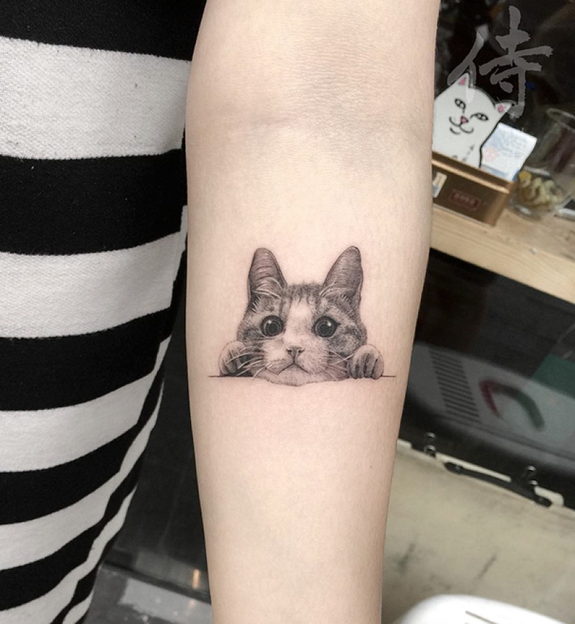 23 best tattoo ideas for dedicated seal lovers