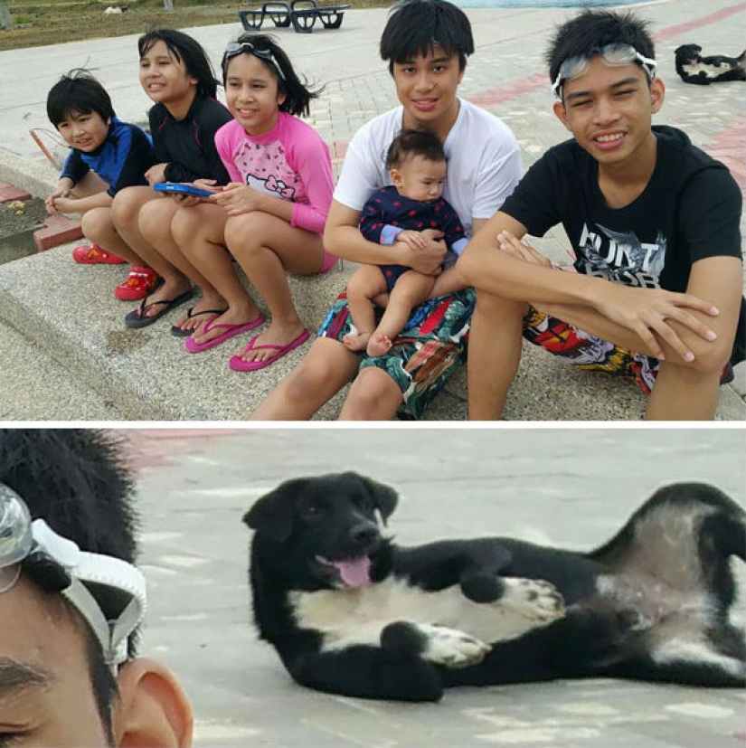 23 dogs who are photobombing geniuses