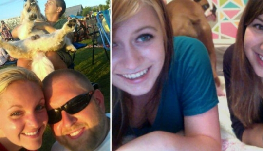 23 dogs who are photobombing geniuses