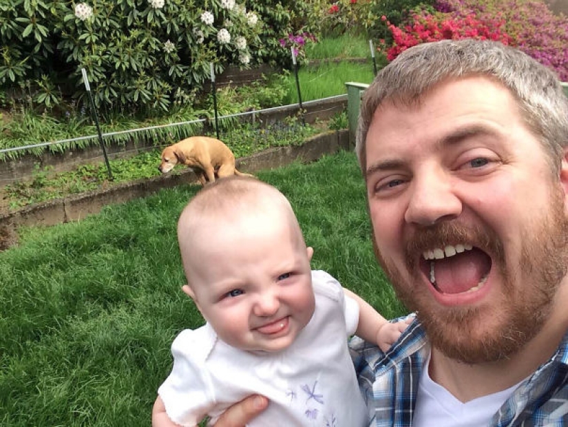 23 dogs who are photobombing geniuses