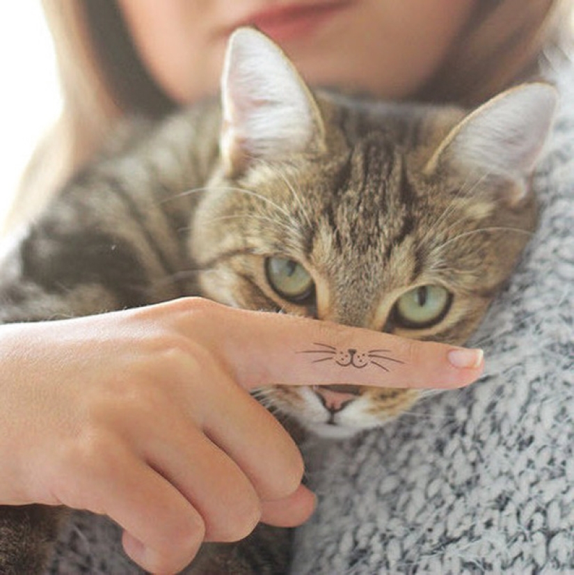 23 mejores ideas de tatuajes para amantes dedicados de las focas