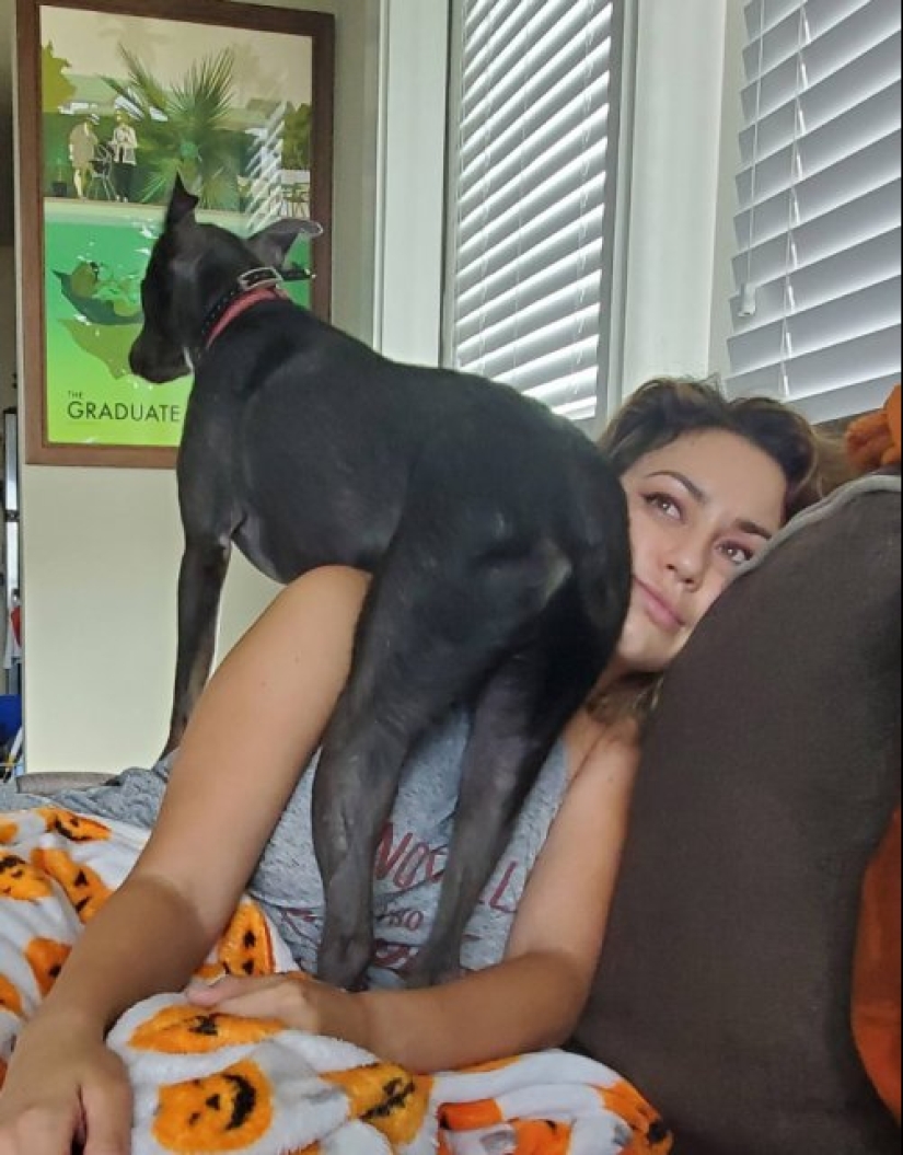 23 photos of pets that literally sat on the owners ' heads