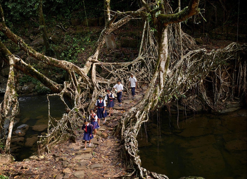 25 caminos más peligrosos a la escuela