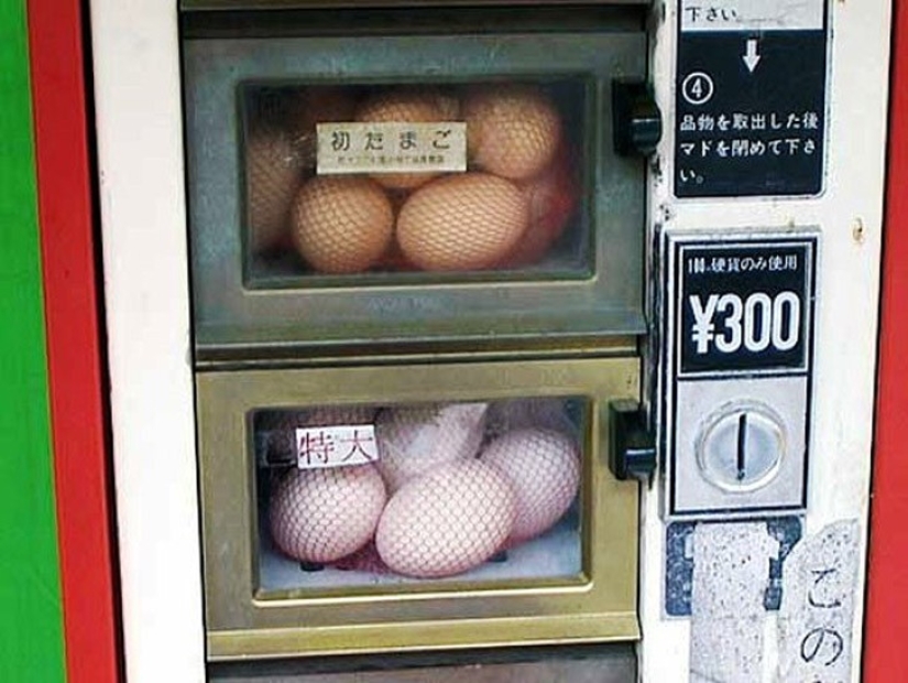 25 crazy that you can only find in Japan