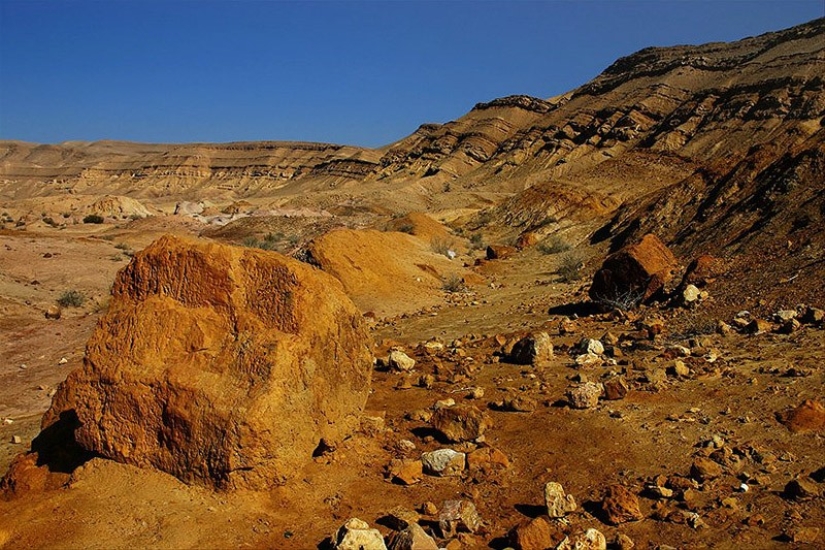 25 de los hallazgos arqueológicos más sorprendentes de la historia