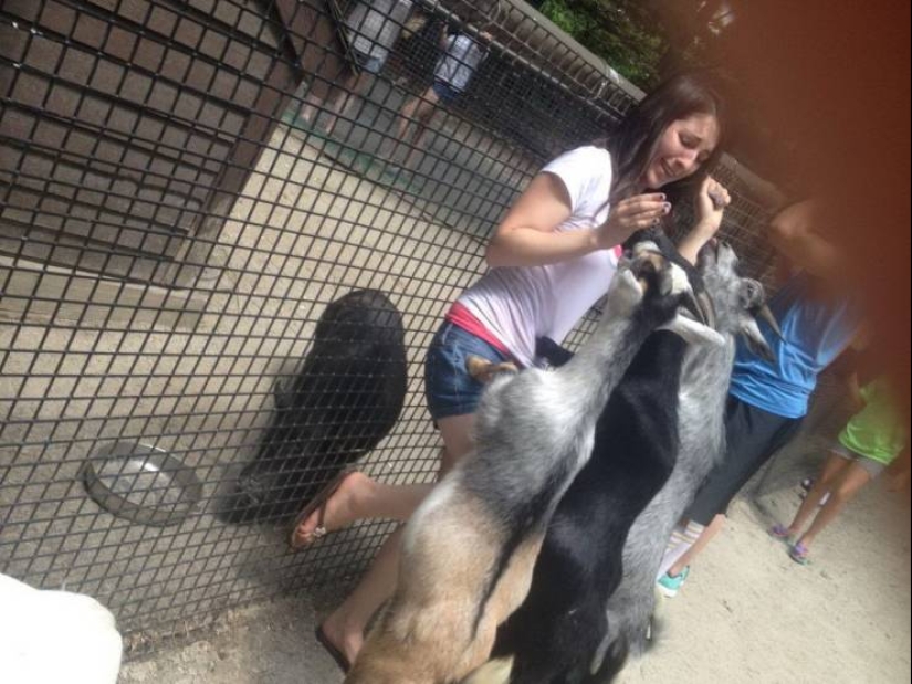 25 ejemplos de lo que se entiende por la frase "un mal comienzo para el día"