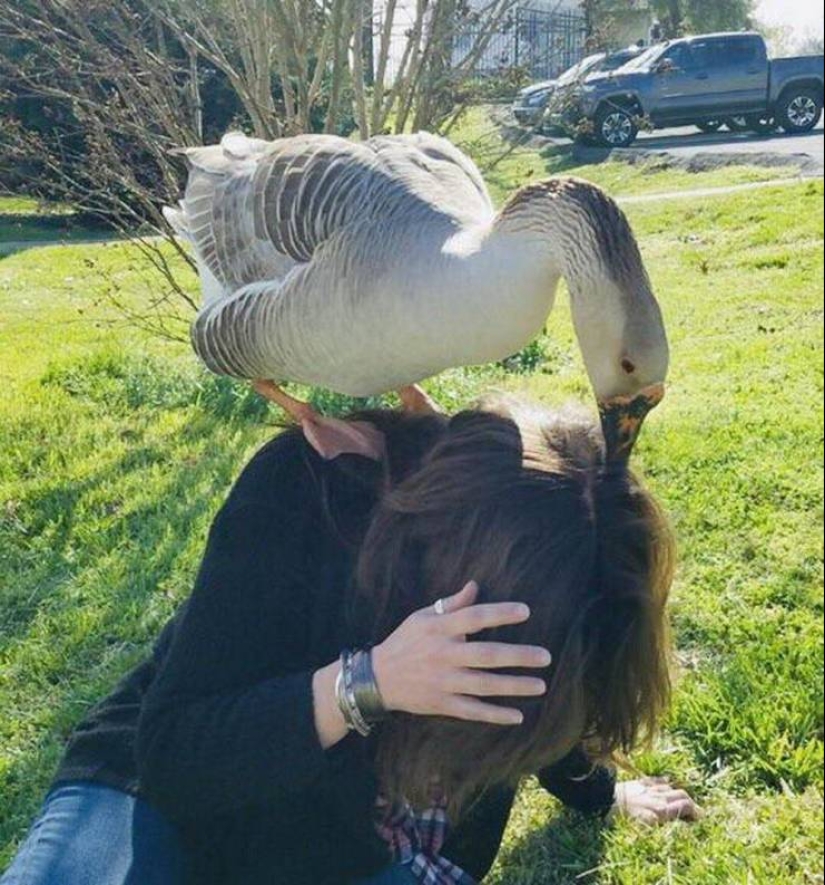 25 ejemplos de lo que se entiende por la frase "un mal comienzo para el día"