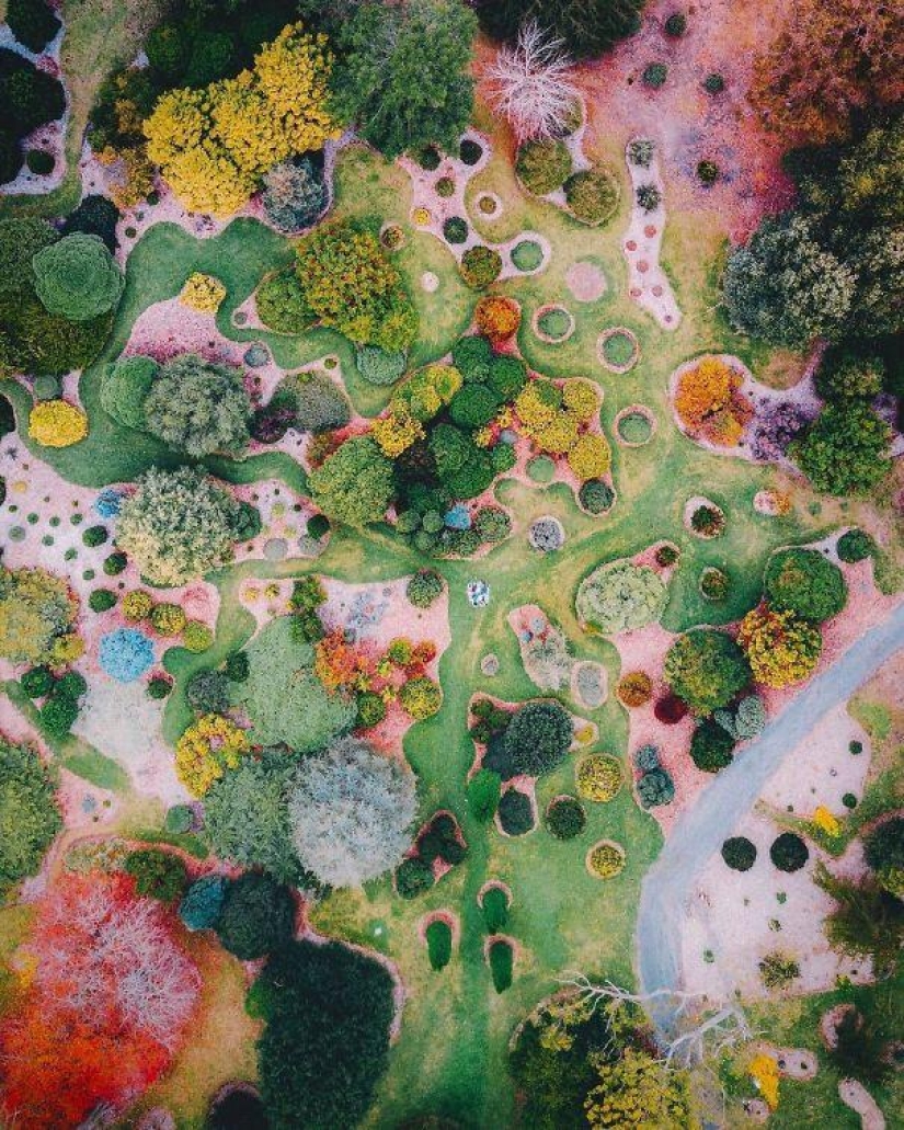 25 examples when nature has created beautiful works of art