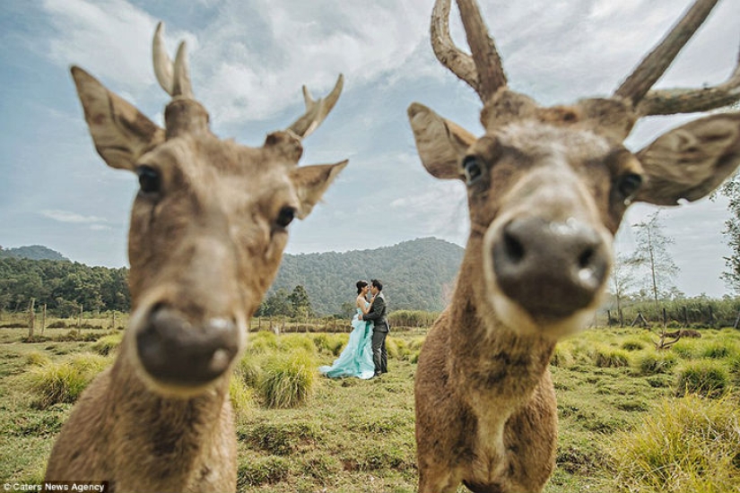 25 fotos de boda que cualquier novia preferiría quemar