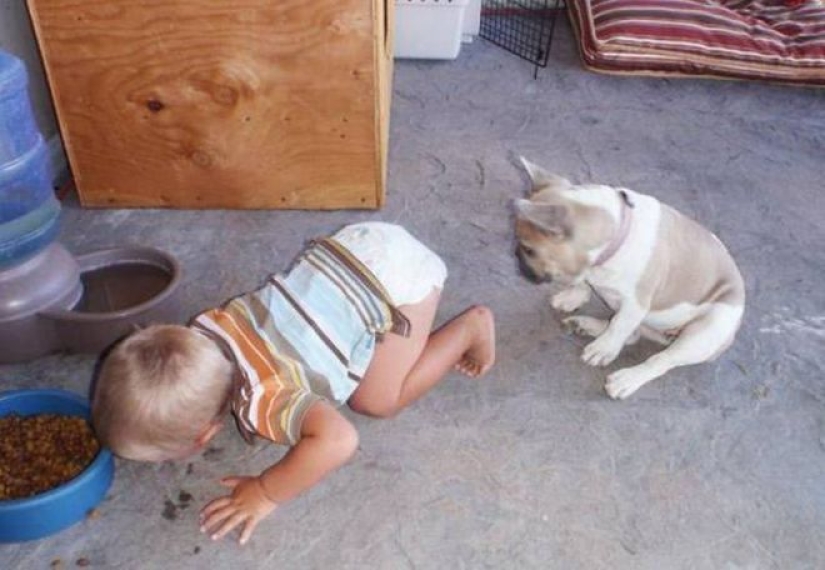 25 funny photos from the series "If it's quiet in the nursery, start worrying!"