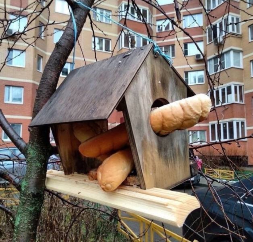 25 funny photos taken somewhere in Russia