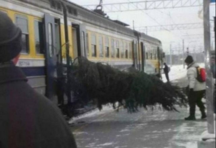 25 funny photos taken somewhere in Russia