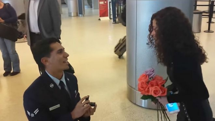 25 funny pictures that the airport has its own special atmosphere