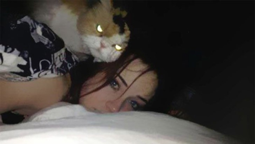 25 insidious cats who planned to secretly kill their owners