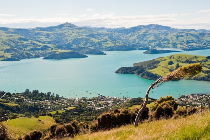 25 interesting facts about New Zealand