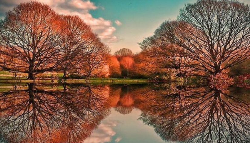25 photos in which it is not clear where the reflection is, and where the reality is