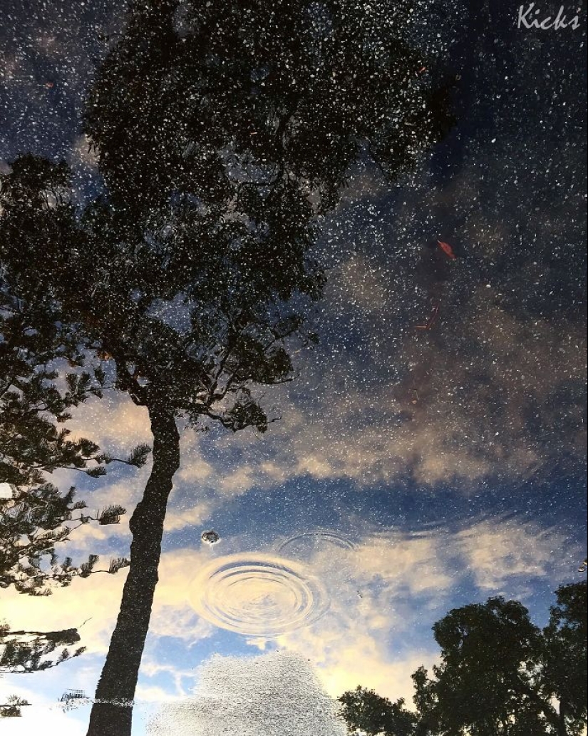 25 photos in which it is not clear where the reflection is, and where the reality is