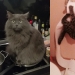 25 photos that tell of a secret life with cats