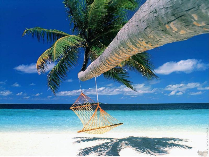 25 places ideal for lying in a hammock