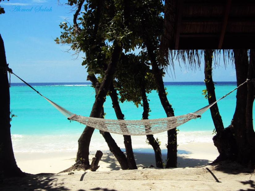 25 places ideal for lying in a hammock