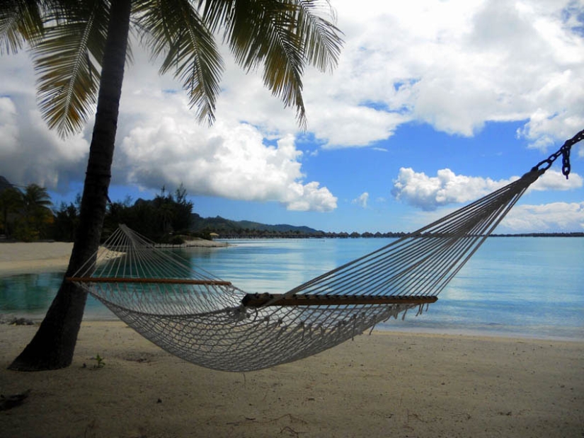 25 places ideal for lying in a hammock