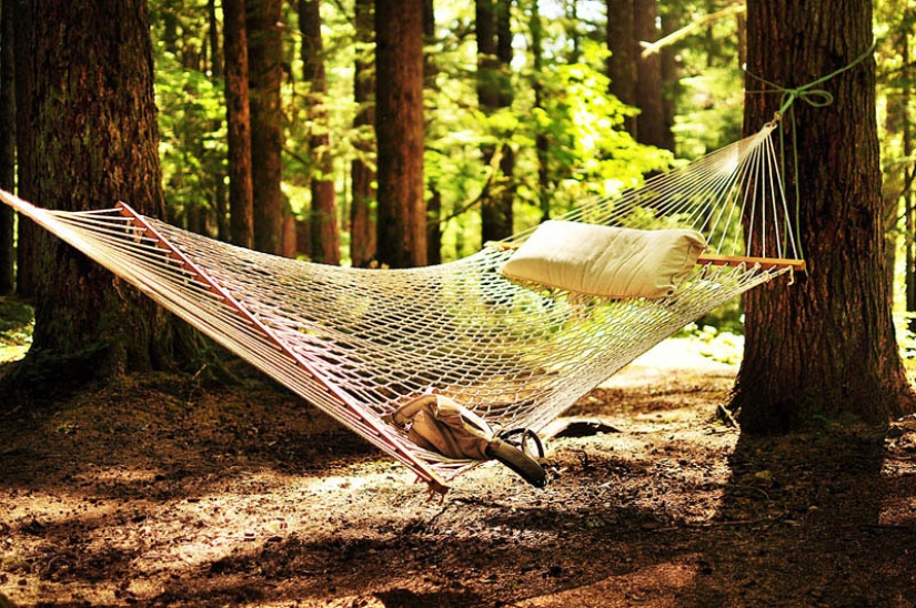 25 places ideal for lying in a hammock