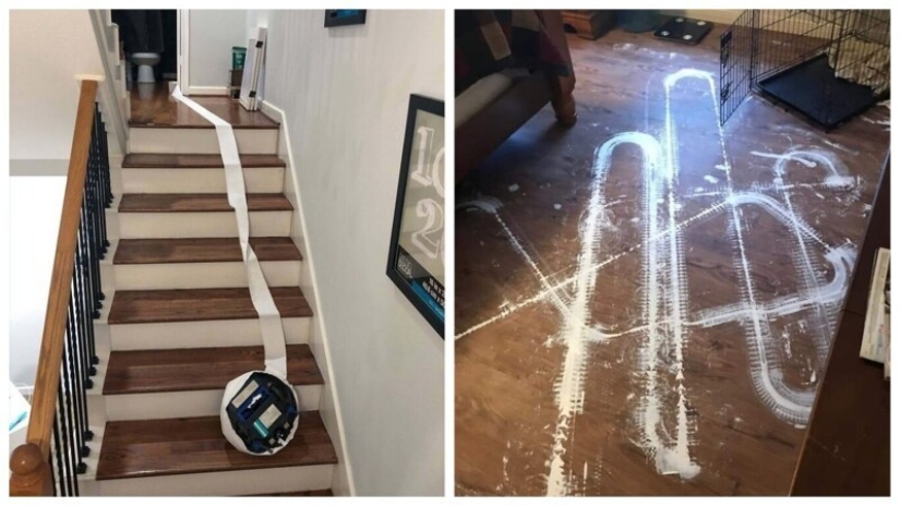 25 proofs that robot vacuum cleaners are still pranksters