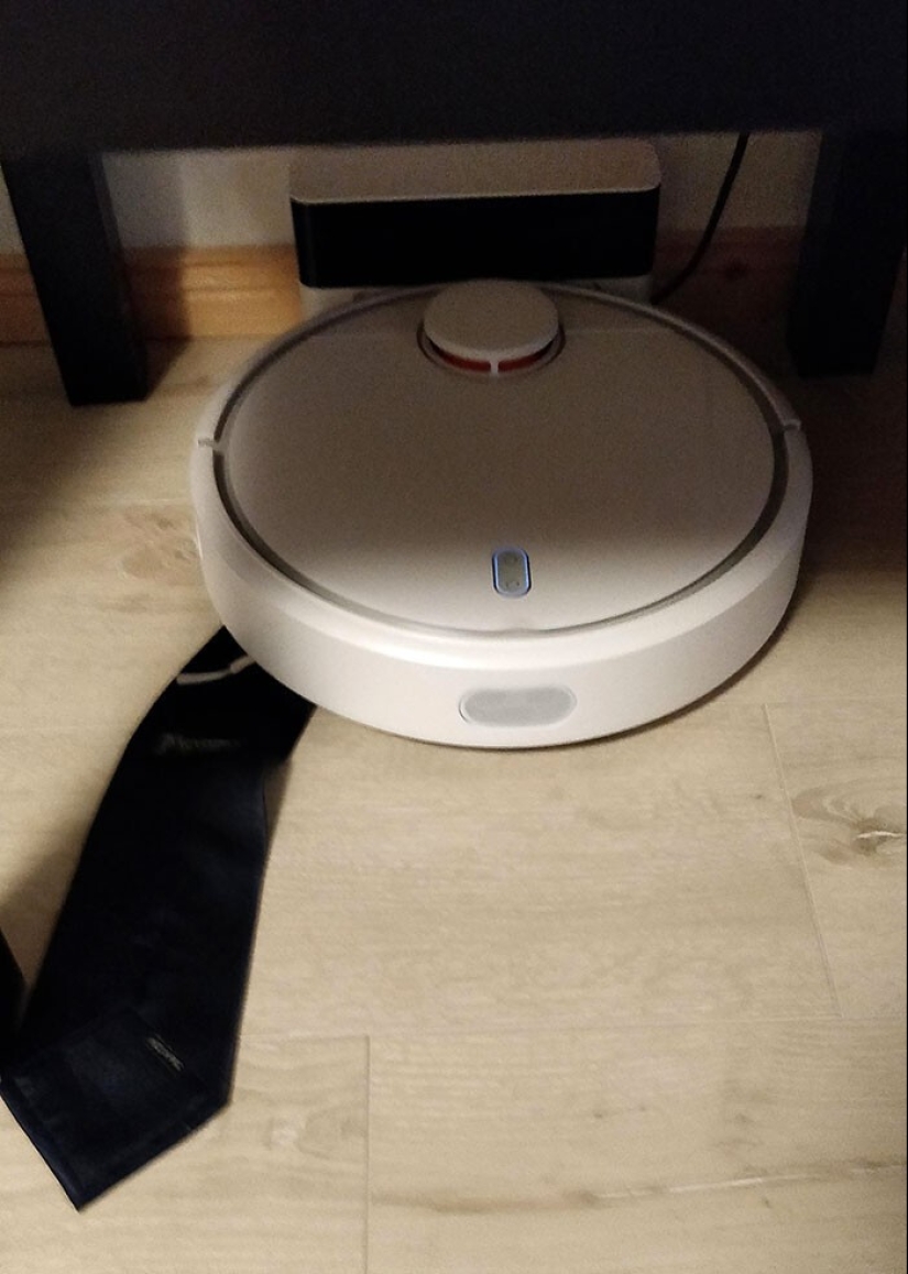 25 proofs that robot vacuum cleaners are still pranksters