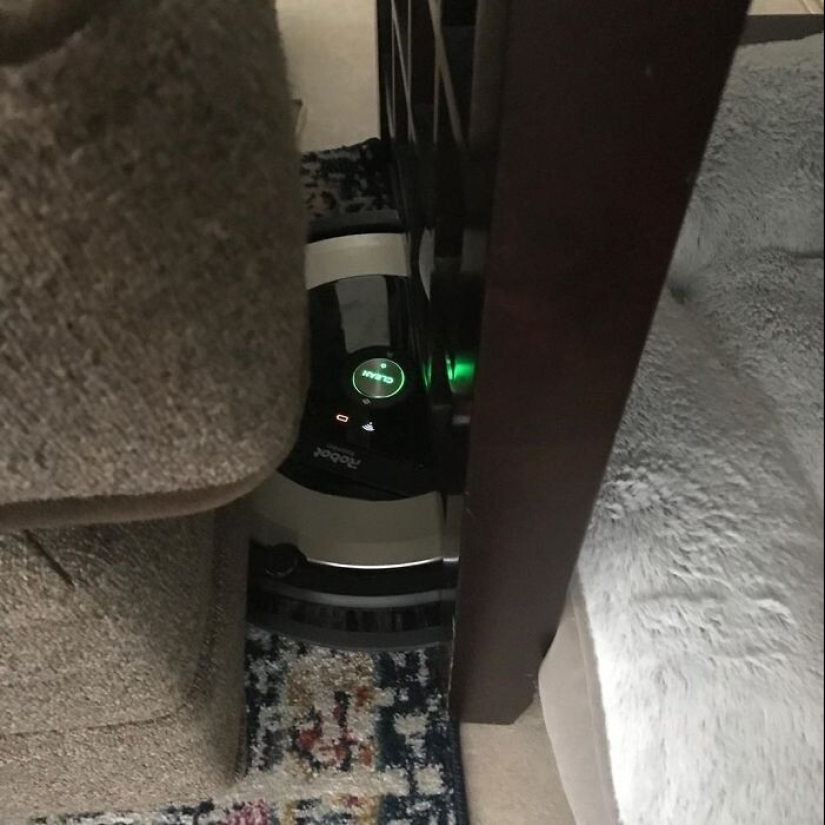 25 proofs that robot vacuum cleaners are still pranksters