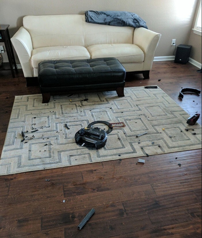 25 proofs that robot vacuum cleaners are still pranksters