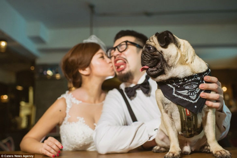 25 wedding photos that any bride would prefer to burn